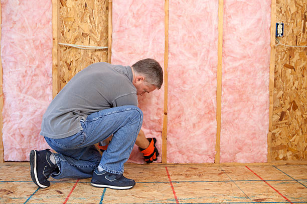 Best Geographic-Specific Insulation Services in Manchester, MO