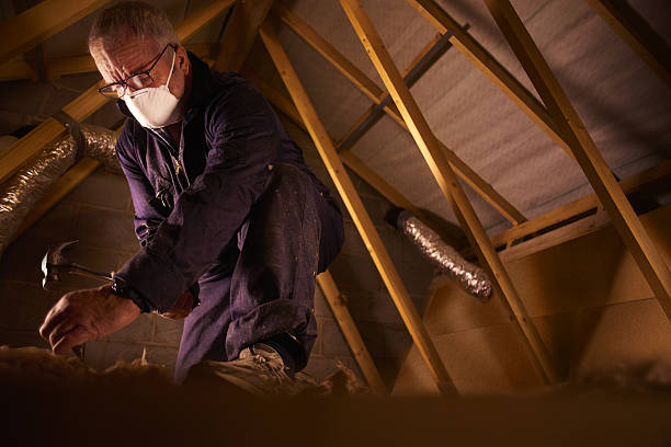 Best Cellulose Insulation in Manchester, MO